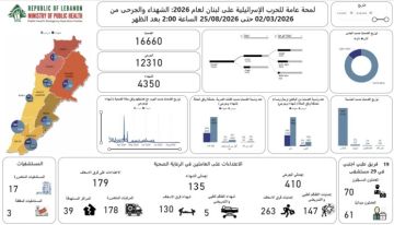 الصحة: الحصيلة التراكمية الاجمالية للعدوان منذ 2 آذار باتت 4350 شهيدا و12310 جريحا الصحة: الحصيلة التراكمية الاجمالية للعدوان منذ 2 آذار باتت 4350 شهيدا و12310 جريحا