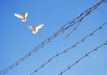 حين لم يعد أحد قادرا على الانتصار حين لم يعد أحد قادرا على الانتصار