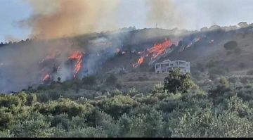 إسرائيل تحرق أحراج لبنان... سياسة عسكرية جديدة؟ إسرائيل تحرق أحراج لبنان... سياسة عسكرية جديدة؟