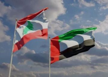 يضم نحو ٧٠ رجل أعمال.. وفد إماراتي يزور لبنان قريبا: اليكم التفاصيل! يضم نحو ٧٠ رجل أعمال.. وفد إماراتي يزور لبنان قريبا: اليكم التفاصيل!