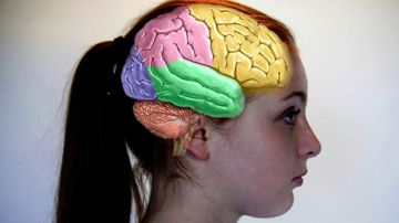 مؤشرات واعدة لحماية دماغكن مؤشرات واعدة لحماية دماغكن