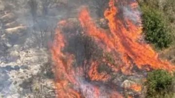 إخماد حريق أحراج عين جرفا وعين قنيا