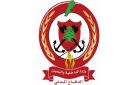 الدفاع المدني: إنقاذ شابين في العقيبة ووادي بلاط