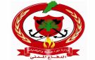 السيطرة على 80 من حريق أحراج السفيرة الضنية - lb