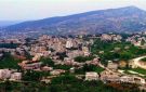بعدما نهش وجه طفل قبل يومين.. هجوم ثان للكلب الشارد في المنية وهذا ما حل به (صورة)