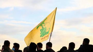 نائب الحزب: فوجئنا بالتعيينات نائب الحزب: فوجئنا بالتعيينات