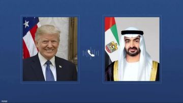 ماذا دار في الاتصال بين رئيس الامارات وترامب؟ ماذا دار في الاتصال بين رئيس الامارات وترامب؟