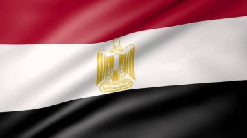مصر: وضعنا خططا للتعامل مع استمرار الحرب لسنوات مقبلة مصر: وضعنا خططا للتعامل مع استمرار الحرب لسنوات مقبلة