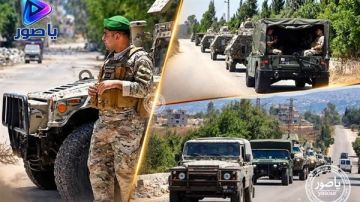 مصادر لـنداء الوطن: بات بالإمكان القول إن النبطية وجوارها أصبحتا في عهدة الشرعية مصادر لـنداء الوطن: بات بالإمكان القول إن النبطية وجوارها أصبحتا في عهدة الشرعية