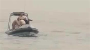 جثة لرجل قبالة شاطئ البرغلية... هل تعرفون عنه شيئا؟ جثة لرجل قبالة شاطئ البرغلية... هل تعرفون عنه شيئا؟