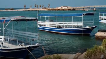 حين يتحول حب البحر والسفن إلى فن... حين يتحول حب البحر والسفن إلى فن...
