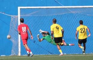 sport7.news