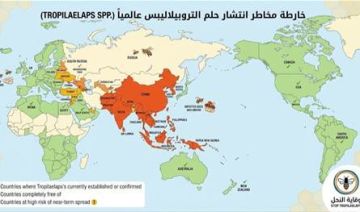 وزارة الزراعة: إجراءات وقائية للمحافظة على استدامة قطاع تربية النحل وزارة الزراعة: إجراءات وقائية للمحافظة على استدامة قطاع تربية النحل