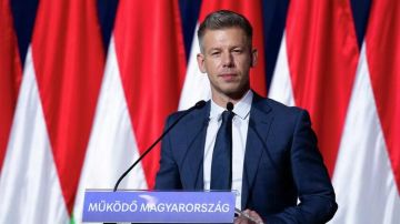 بالفيديو: رشق رئيس الوزراء بالبيض! بالفيديو: رشق رئيس الوزراء بالبيض!