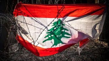 حقائب الدولارات ودولة من ورق حقائب الدولارات ودولة من ورق