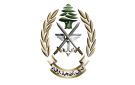 الجيش يكشف معلومات جديدة عما حصل في النبطية الفوقا
