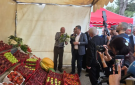 هاني من مهرجان التفاح في ميروبا: حملة وطنية لتسويق المحصول وتوسيع أسواق التصدير