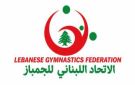 اتحاد الجمباز شكل لجانه وحظر التعامل مع مجموعة طه