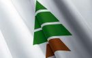  فيديو قديم ومجتزأ ... الكتائب : يهدف لتشويه موقفنا