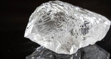 سرقة زهرة الجثة النادرة من حديقة نباتات في ألمانيا (صور)