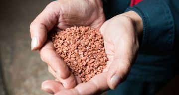 النقد الدولي يدعو الراغبين باستخدام الأصول الروسية إلى إدراك العواقب