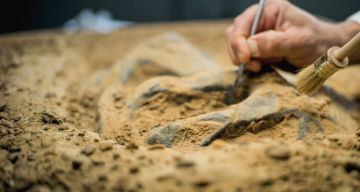 بعد 900 عام من الغموض.. الحقيقة المذهلة وراء تماثيل جزيرة الفصح