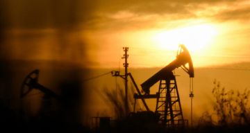 افتتاح أكثر من 100 شركة ألمانية جديدة في روسيا رغم العقوبات