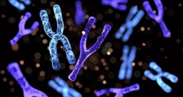 تقرير: 2025 قد يكون ثاني أحر عام في التاريخ