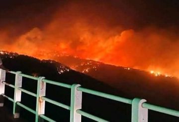 ليبيا.. السيطرة على حرائق وادي الكوف شرقي البلاد وتحذيرات من تجددها ليبيا.. السيطرة على حرائق وادي الكوف شرقي البلاد وتحذيرات من تجددها