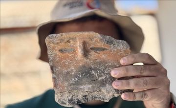 خمس خطوات بسيطة لتعزيز الذكاء والذاكرة خمس خطوات بسيطة لتعزيز الذكاء والذاكرة