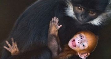 أنا حي.. شاب يحضر جنازته ويثير صدمة المعزين في شمال الأرجنتين أنا حي.. شاب يحضر جنازته ويثير صدمة المعزين في شمال الأرجنتين