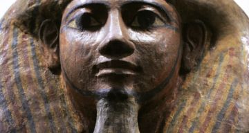 اكتشاف سر قدرة الدماغ على التنسيق بين المعلومات السريعة والبطيئة