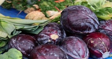 العامل الأساسي وراء الألم المزمن وكيفية علاجه العامل الأساسي وراء الألم المزمن وكيفية علاجه