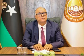 الصالحين عبد النبي يبدأ مهامه رئيسا لمجلس النواب الليبي ويبحث مع نائبيه خطوات المرحلة المقبلة الصالحين عبد النبي يبدأ مهامه رئيسا لمجلس النواب الليبي ويبحث مع نائبيه خطوات المرحلة المقبلة