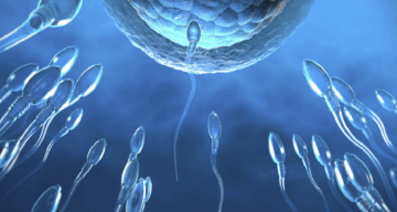 طريقة بسيطة للوقاية من مرض الكبد الدهني طريقة بسيطة للوقاية من مرض الكبد الدهني