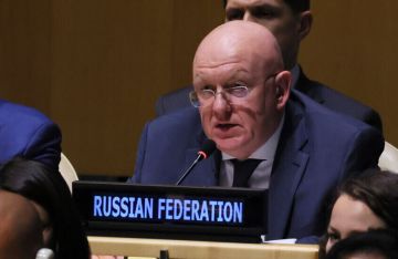 نيبينزيا: الوضع الأمني في ليبيا غير مستقر وندين بشدة مقتل سيف الإسلام القذافي