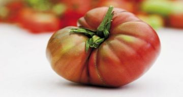 كم خطوة تحرق كيلوغراما من الدهون؟.. خبير يوضح بالأرقام