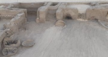 سوري يحصد رأس فجل يتجاوز وزنه 10 كغ