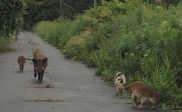 كسوف الشمس الأول في 2026: أين سترى حلقة النار في 17 فبراير؟