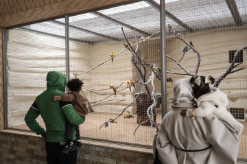 الصيد الجائر في ليبيا يقطع طريق هجرة الطيور الصيد الجائر في ليبيا يقطع طريق هجرة الطيور