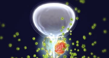 تحذيرات صحية من الشموع المعطرة داخل المنازل