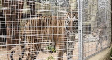 نيويورك تايمز: اختراق جزء من نيزك سقف منزل بالقرب من هيوستن (صورة) نيويورك تايمز: اختراق جزء من نيزك سقف منزل بالقرب من هيوستن (صورة)