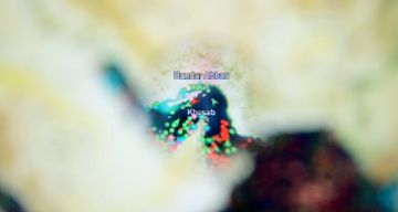 تحذيرات في ألمانيا من ارتفاع أسعار الغذاء على خلفية غلاء الوقود