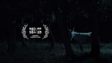 قائمة الأفلام الدولية في مهرجان البحر الأحمر 2025 للأفلام القصيرة