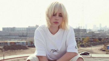 لحظة أثارت الجدل.. معجب يقترب من بيلي إيليش بطريقة صادمة