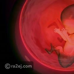 هل يتعلم الجنين اللغات الأجنبية وهو في رحم أمه؟
