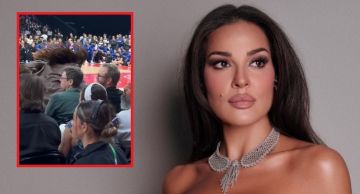 فيديو- لحظة سقوط نادين نسيب نجيم خلال متابعتها مباراة كرة سلة