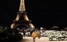 مفاجآت غير متوقعة من النجوم في أسبوع الموضة الباريسي - xx