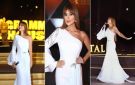 كارول سماحة تتألق بإطلالة بيضاء في حفل غنائي في رحاب الأهرامات - xx