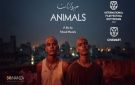 فيلم حيوانات للمخرج مراد مصطفى يشارك في سيني مارت مهرجان روتردام السينمائي الدولي